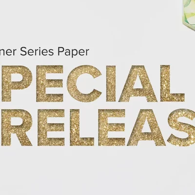 New Designer Series Papers – Special Release